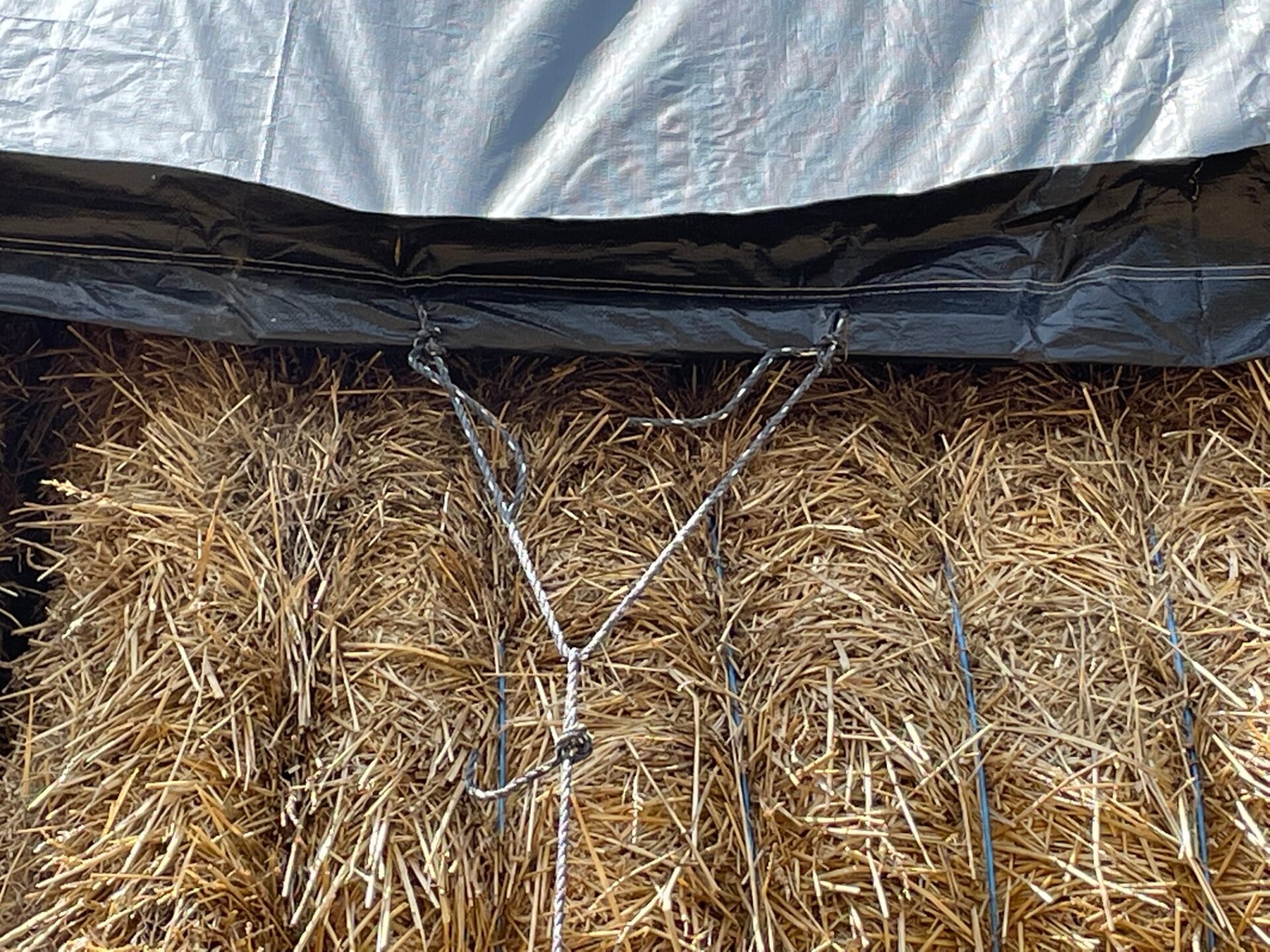 Tarps Tarps